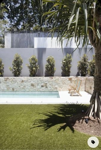 IMG_6647.jpeg IMG_6647.jpeg