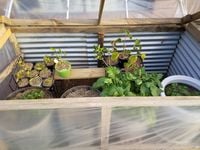 20200508_162702.jpg 20200508_162702.jpg