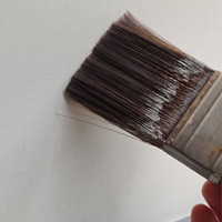 4.3 Paint surface.png 4.3 Paint surface.png