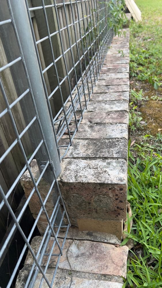 IMG_1699.jpeg IMG_1699.jpeg