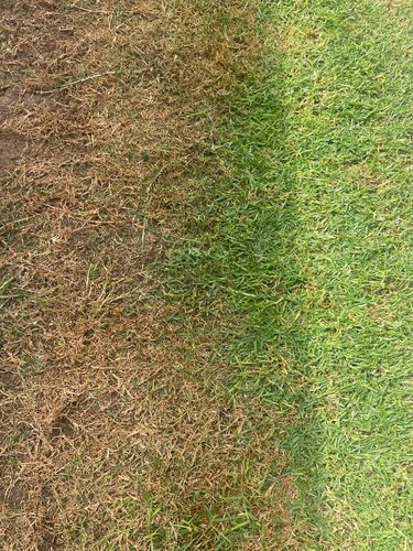 IMG_8787.jpeg IMG_8787.jpeg