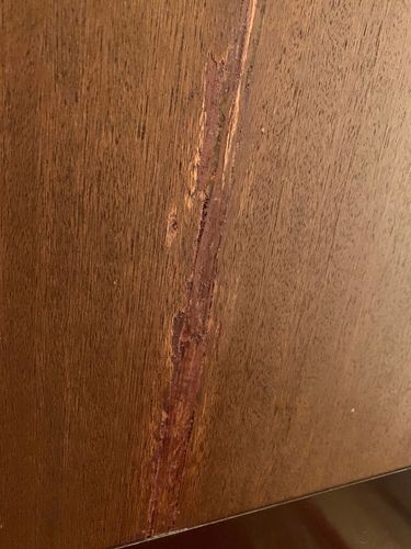 IMG_5552.jpg IMG_5552.jpg