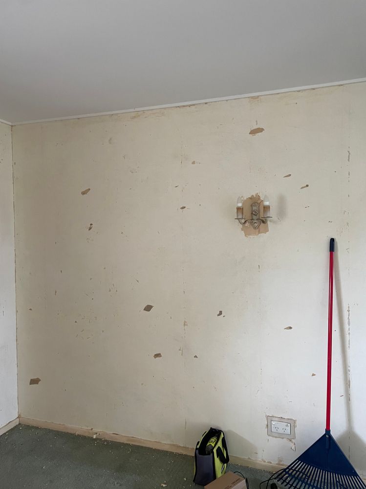 IMG_5750.jpeg IMG_5750.jpeg