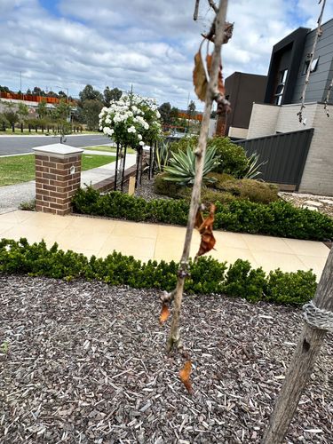 1000038518.jpg 1000038518.jpg