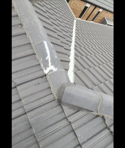 IMG_5153.jpeg IMG_5153.jpeg