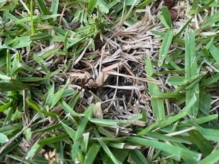 IMG_8850.jpeg IMG_8850.jpeg