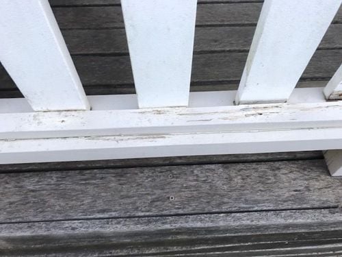 IMG_9826.jpg IMG_9826.jpg