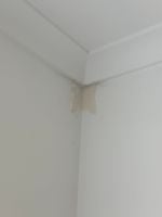 IMG_4151.jpg IMG_4151.jpg