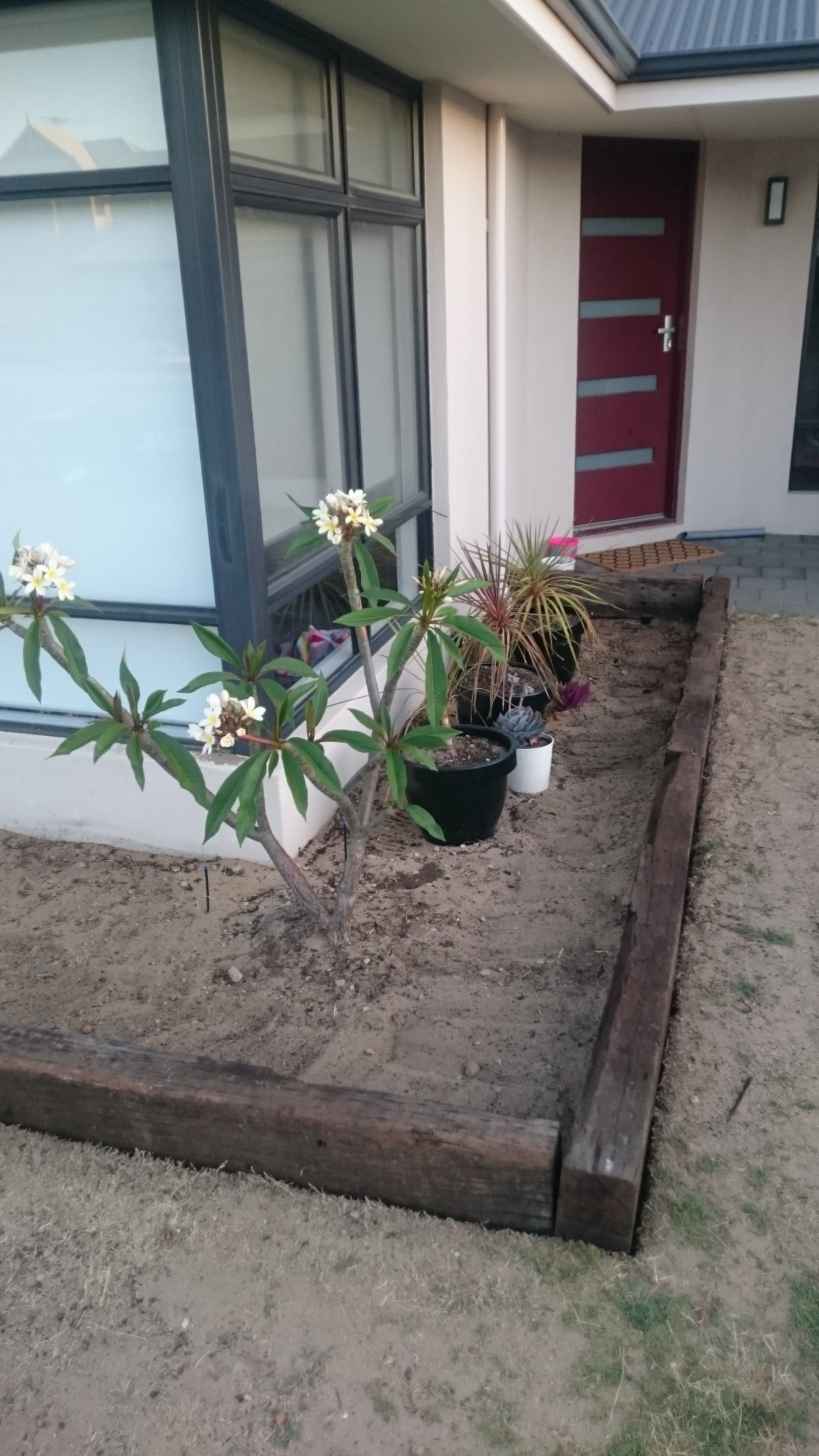 gardena2.jpg gardena2.jpg