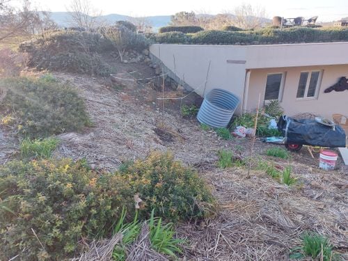 64b92c78-96f2-4e9b-b15a-9470e8be3a9e-1_all_4587.jpg 64b92c78-96f2-4e9b-b15a-9470e8be3a9e-1_all_4587.jpg