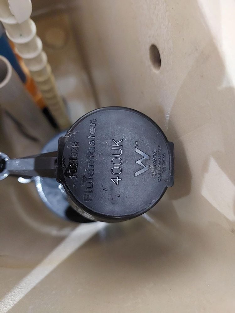 1000108632.jpg 1000108632.jpg