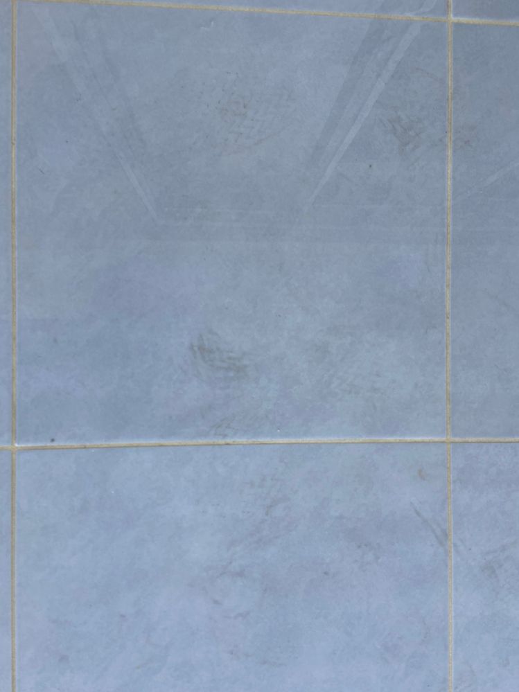 IMG_8242.JPG IMG_8242.JPG