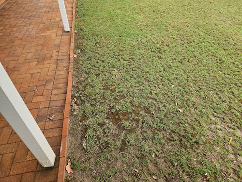 20241204_062838.jpg 20241204_062838.jpg