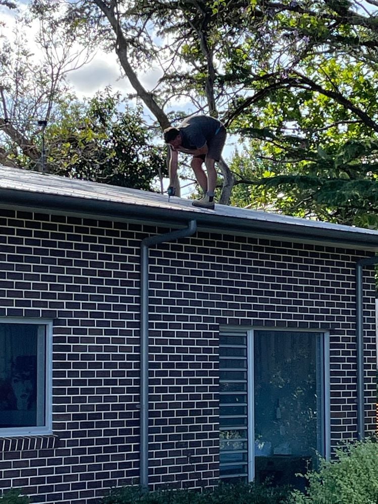 IMG_7129.jpg IMG_7129.jpg