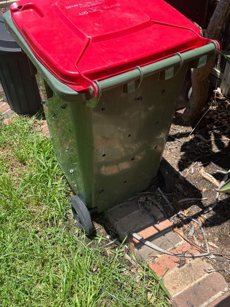 IMG_5483.jpg IMG_5483.jpg