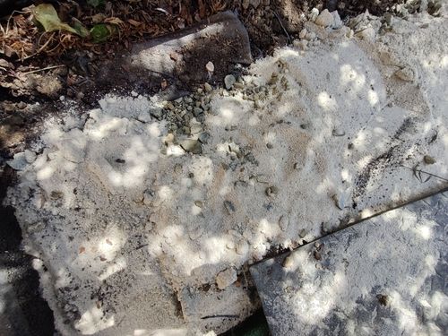 IMG_20231224_111902.jpg IMG_20231224_111902.jpg