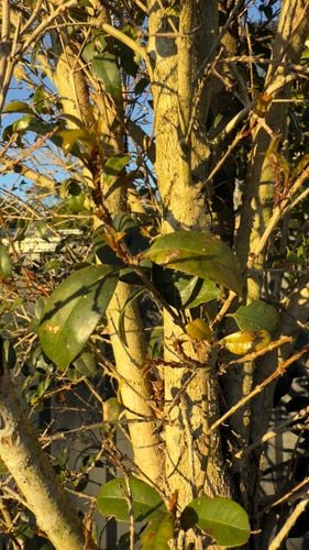 IMG_0898.jpeg IMG_0898.jpeg