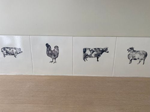 IMG_4641.jpeg IMG_4641.jpeg