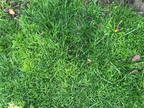 9D7A35D9-A752-42F0-A03A-BFB93776528D.jpeg 9D7A35D9-A752-42F0-A03A-BFB93776528D.jpeg