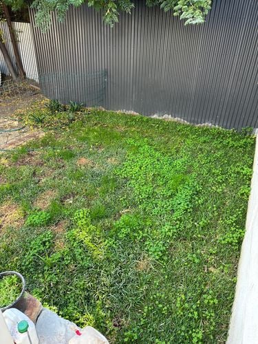 IMG_5047.jpeg IMG_5047.jpeg