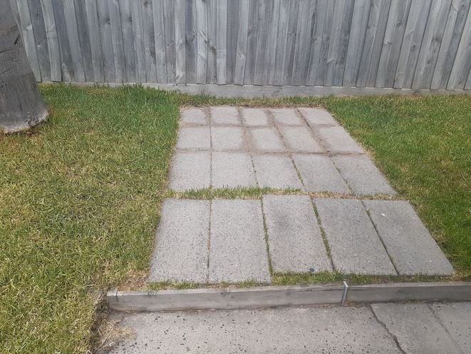 20250111_160009.jpg 20250111_160009.jpg