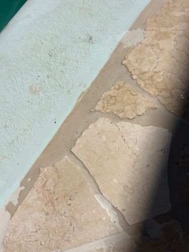 IMG_0407.jpeg IMG_0407.jpeg