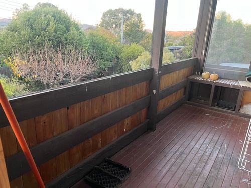 IMG_5787.jpeg IMG_5787.jpeg