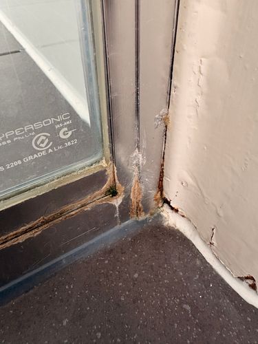 IMG_3669.jpeg IMG_3669.jpeg