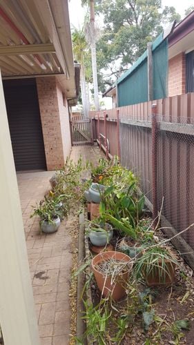 20191123_114138.jpg 20191123_114138.jpg