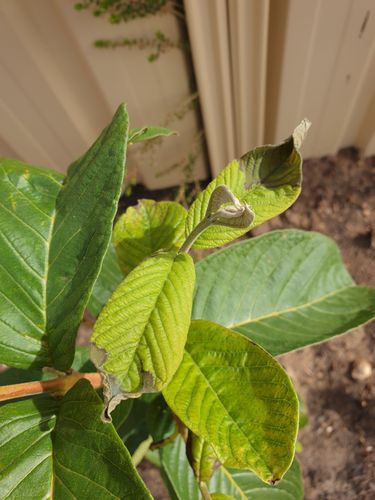 20230425_123144.jpg 20230425_123144.jpg