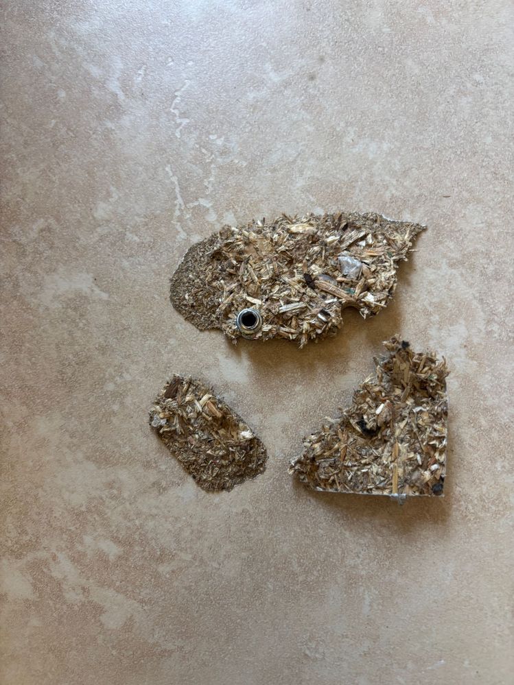 Broken Leg1.jpg Broken Leg1.jpg