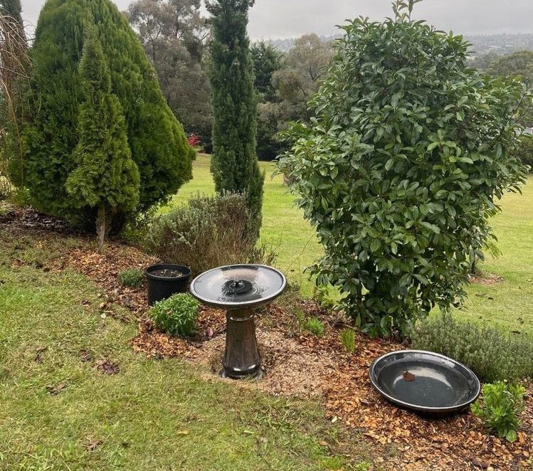 BIRD_BATH.jpeg BIRD_BATH.jpeg