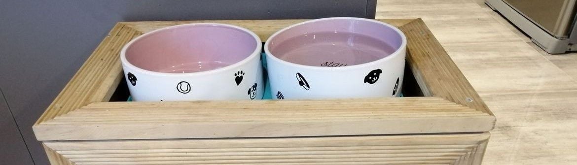 Oreoprojects feeding station.jpg Oreoprojects feeding station.jpg