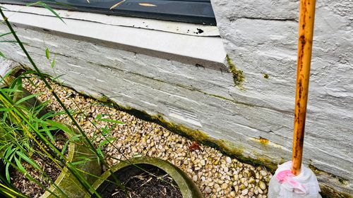 IMG_8137.jpeg IMG_8137.jpeg