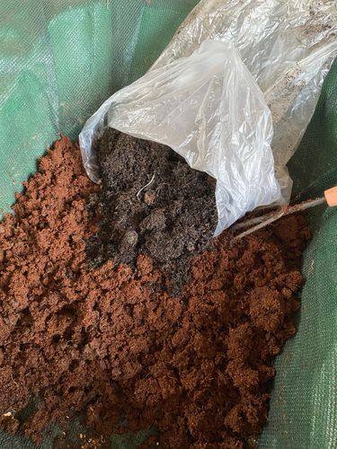 5D3BD191-487C-4B90-8E9B-C1BABA59C41E.jpeg 5D3BD191-487C-4B90-8E9B-C1BABA59C41E.jpeg