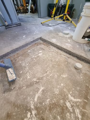 1000238173.jpg 1000238173.jpg