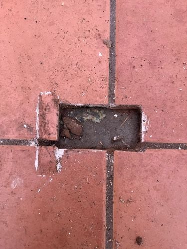 IMG_5295.jpeg IMG_5295.jpeg