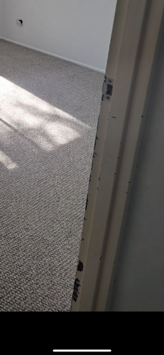 IMG_8782.png IMG_8782.png