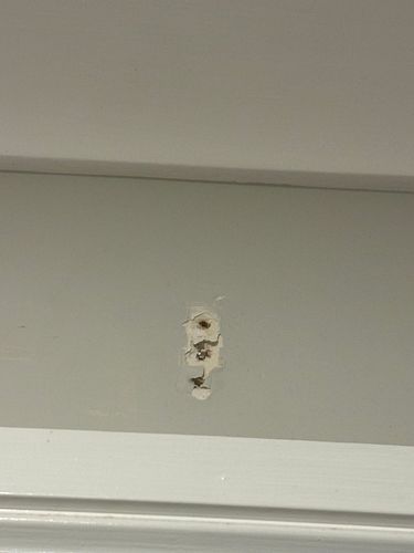 IMG_7089.jpeg IMG_7089.jpeg