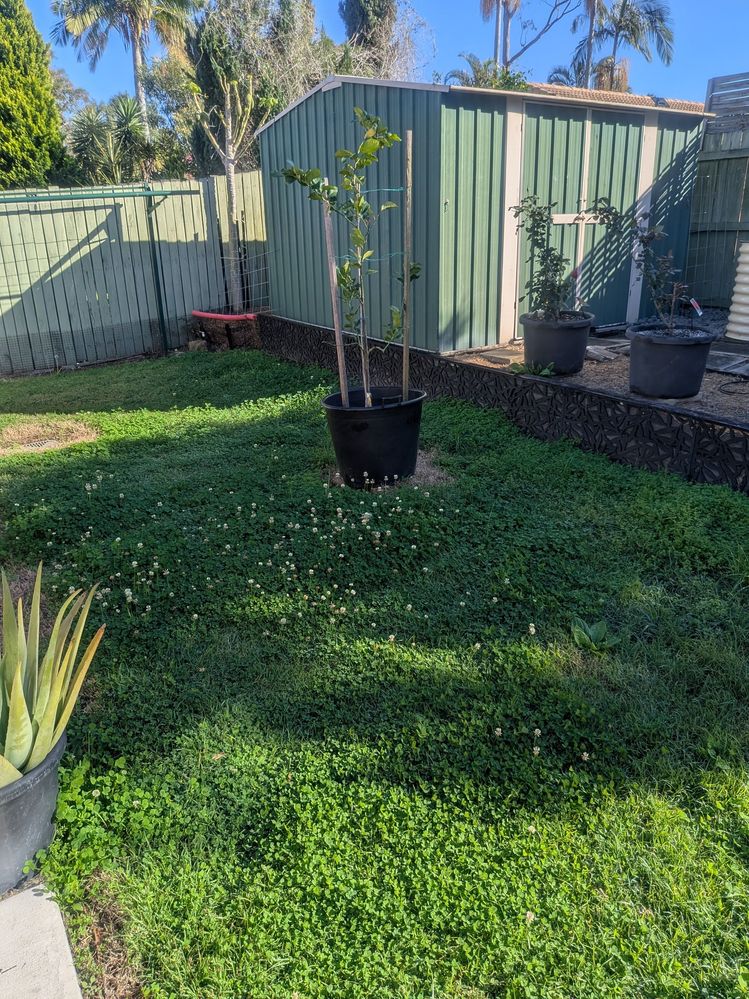 PXL_20250805_231134903.jpg PXL_20250805_231134903.jpg