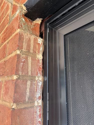 IMG_3113.jpeg IMG_3113.jpeg