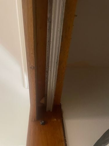 IMG_0573.jpeg IMG_0573.jpeg