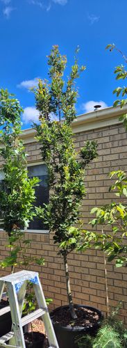 1000017878.jpg 1000017878.jpg