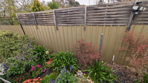 1000017119.jpg 1000017119.jpg