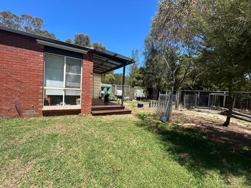 IMG_2599.jpeg IMG_2599.jpeg