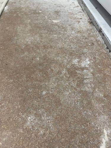 IMG_9535.jpeg IMG_9535.jpeg