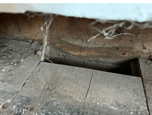 IMG_9542.jpeg IMG_9542.jpeg