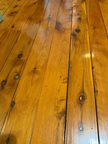 IMG_4384.jpeg IMG_4384.jpeg