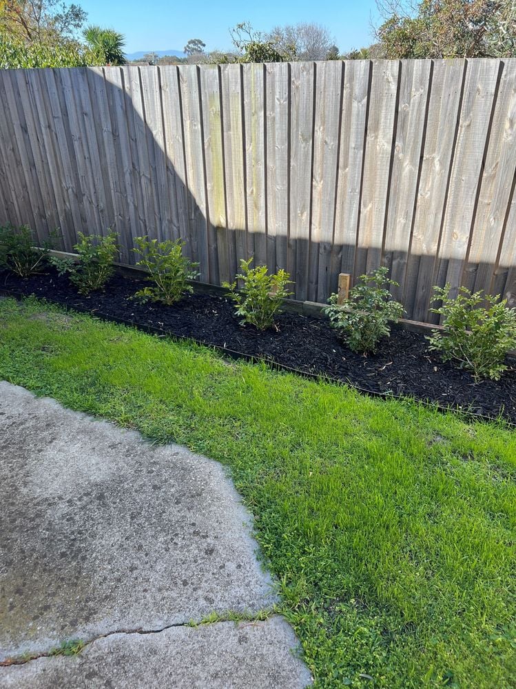 garden 2.jpg garden 2.jpg