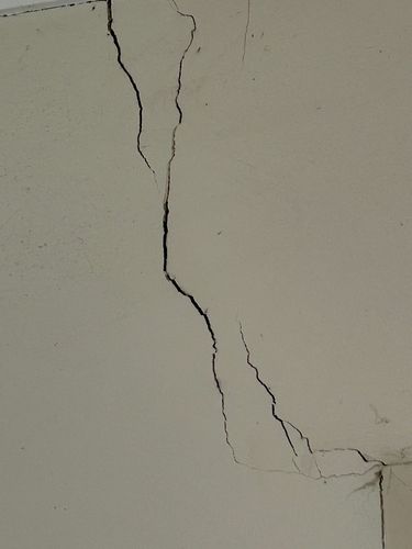 IMG_1025.jpeg IMG_1025.jpeg